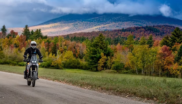 677fc9_d48d79aea67444a58447862f80cd0765mv2-1