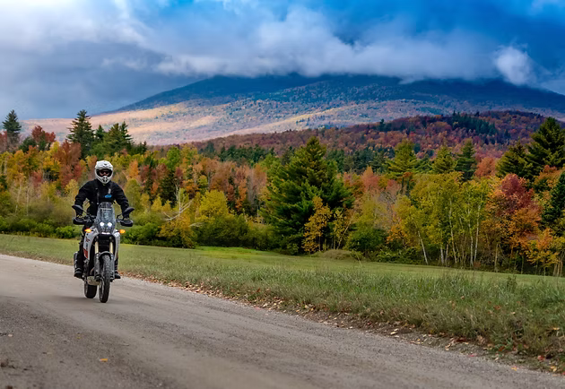 677fc9_d48d79aea67444a58447862f80cd0765mv2-1